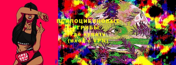 ПСИЛОЦИБИНОВЫЕ ГРИБЫ Ступино