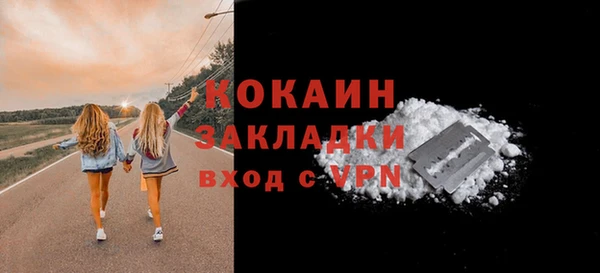 стаф Абинск