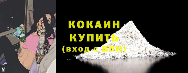 стаф Абинск