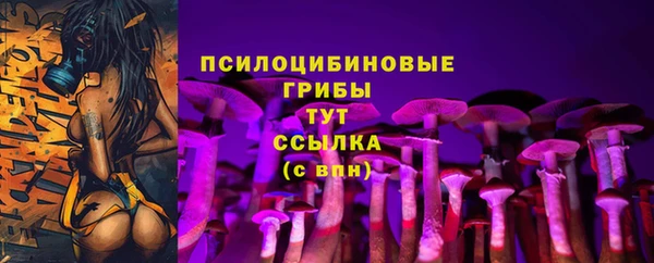 бутират Струнино