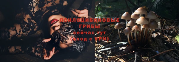 стаф Абинск