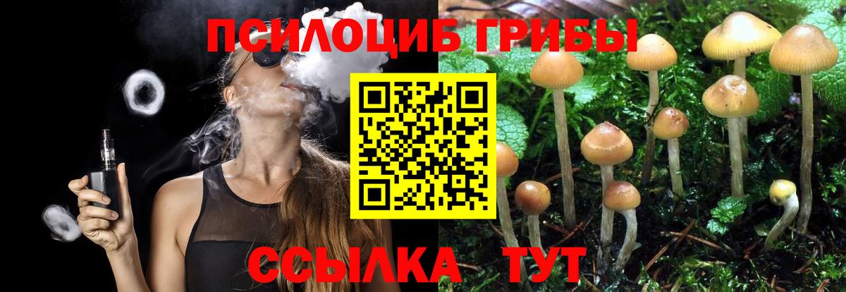 Ишимбай  Псилоцибиновые грибы Psilocybe  купить наркотик  Галлюциногенные грибы прущие грибы  Вход с VPN 